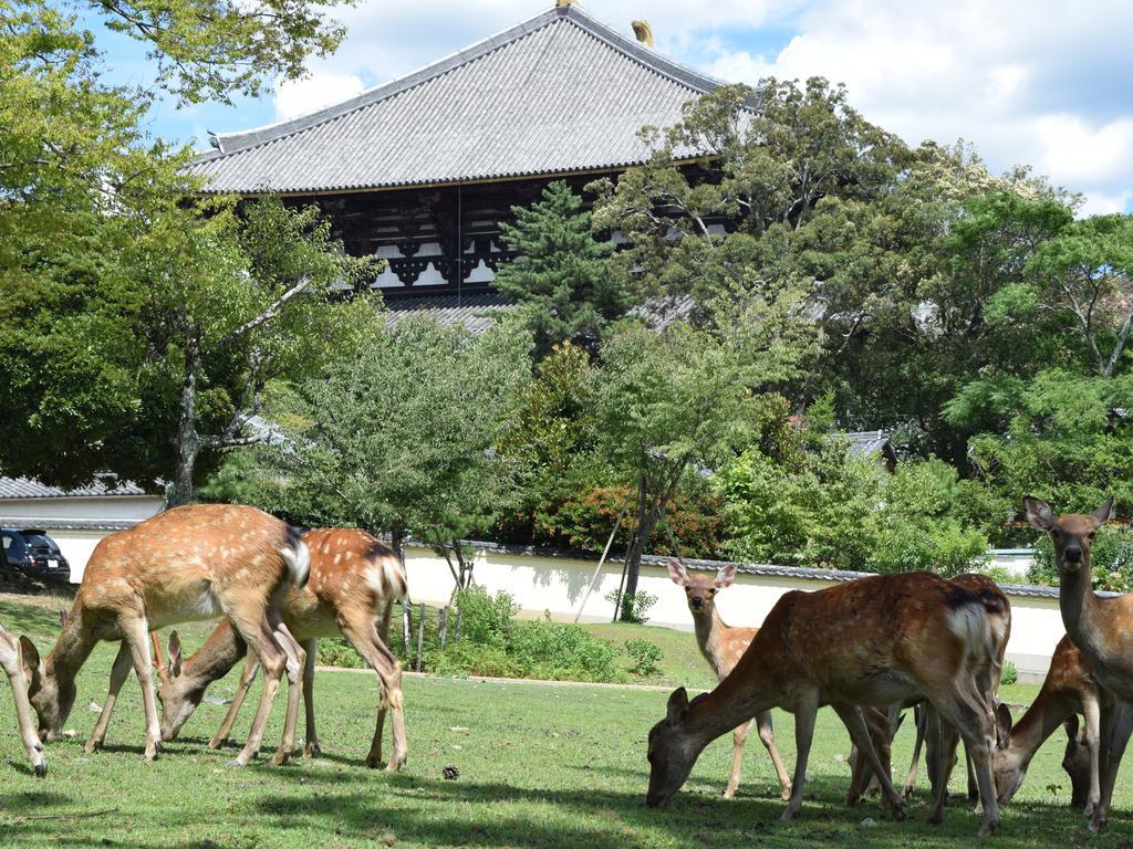 Yamabe Hotel Tenri Luaran gambar